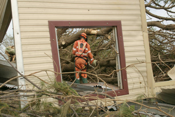 Best Commercial Tree Services  in Jackson, AL